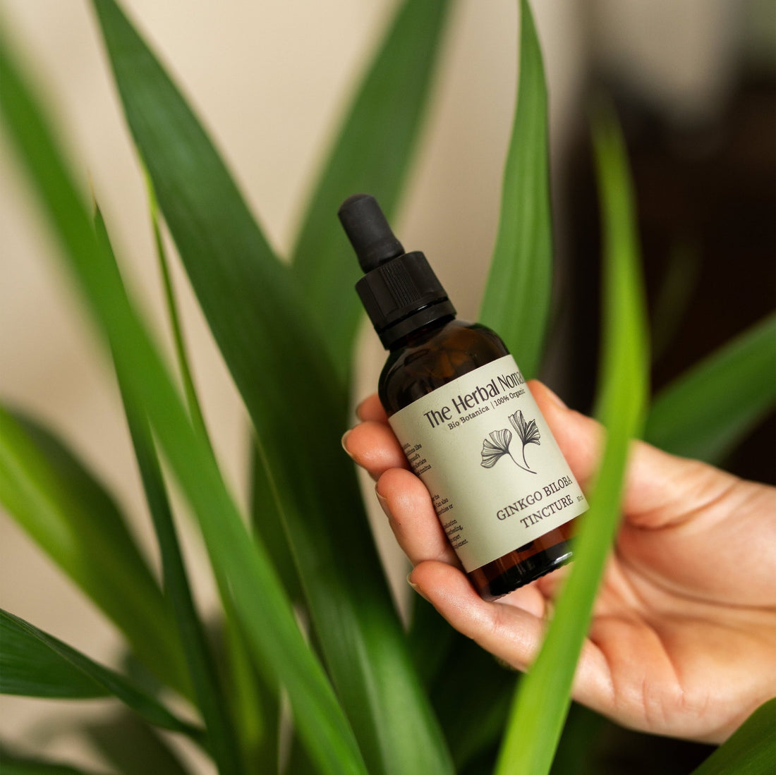 Ginkgo Biloba Tincture