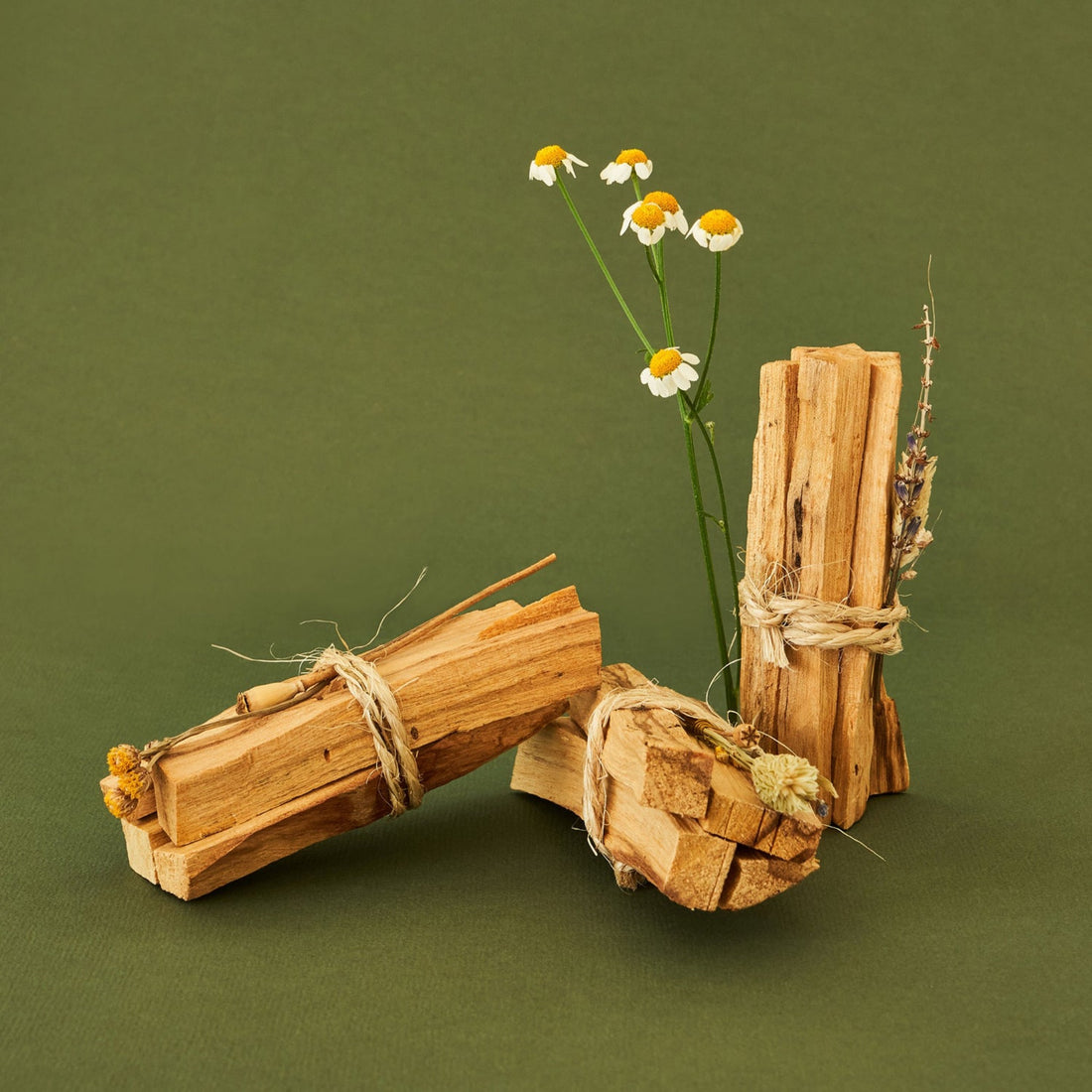 Palo Santo 4x. Discover the enchanting story of Palo Santo, a sacred wood rooted in the heart of South America.