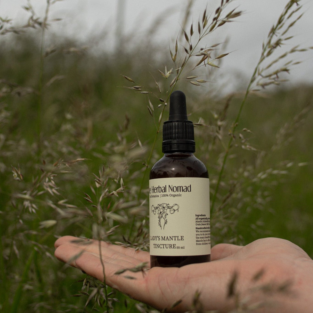 Lady’s Mantle Tincture